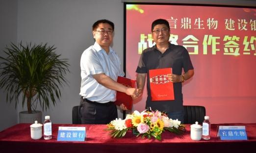 今日头条 数字山东：清风徐来，花自盛开——强强结合再添新同伴