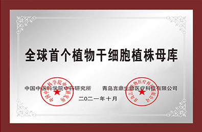 K8凯发(中国)天生赢家·一触即发