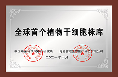 K8凯发(中国)天生赢家·一触即发
