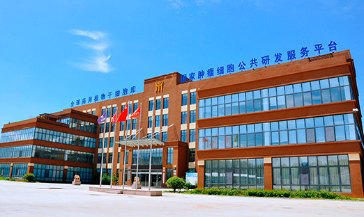 喜报！K8凯发生物牵头项目获批科技部国度沉点研发打算沉点专项