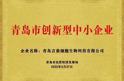 K8凯发(中国)天生赢家·一触即发