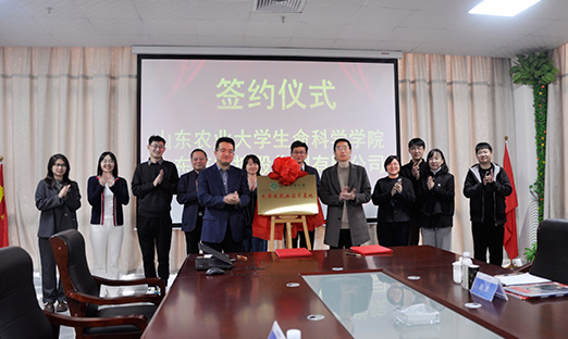 校企合作新篇章|K8凯发集团＆山东农业大学共建就业实习基地